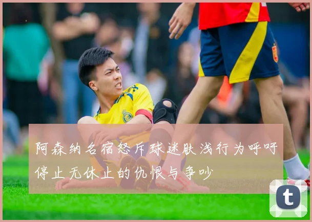 阿森纳名宿怒斥球迷肤浅行为呼吁停止无休止的仇恨与争吵