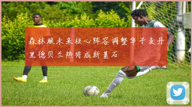 森林狼未来核心阵容调整华子麦丹里德贝兰热将成新基石